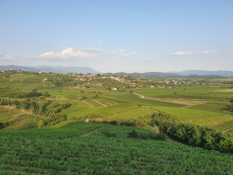 TRENTINO – ALTO ADIGE (Južna Tirolska)