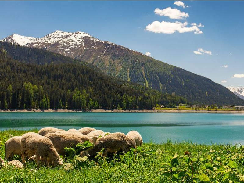 VOŽNJA Z GLACIER EXPRESS VLAKOM IN ŠVICARSKE ALPE